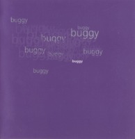 2000 buggy book