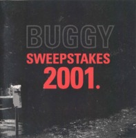 2001 buggy book