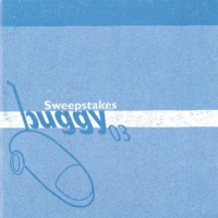 2003 buggy book